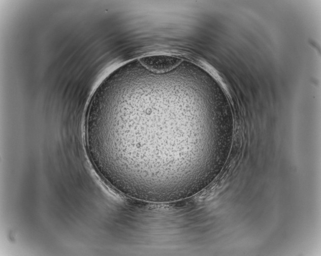 X0000098020811200804111256