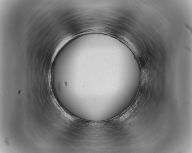 X0000098020812200804111256