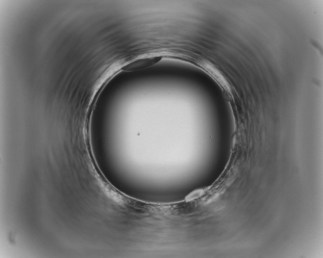 X0000098020813200804111256