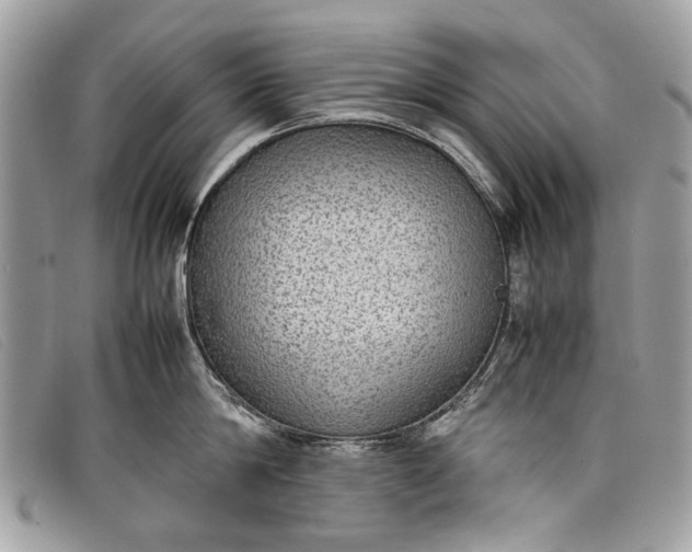 X0000098020814200804111256