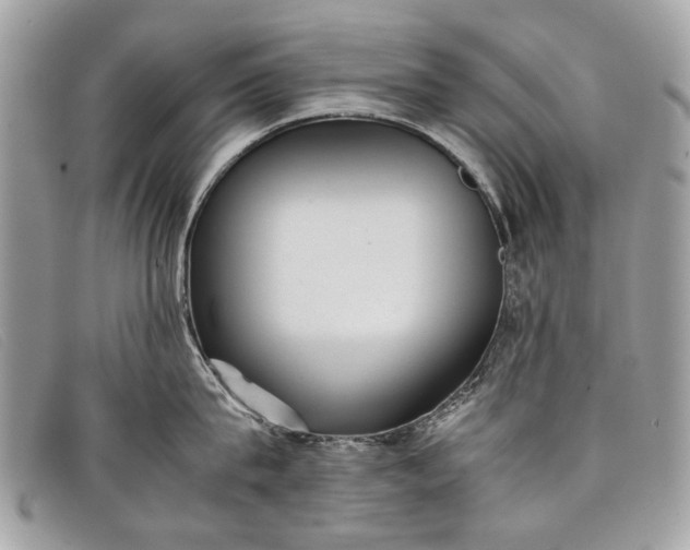 X0000098020815200804111256