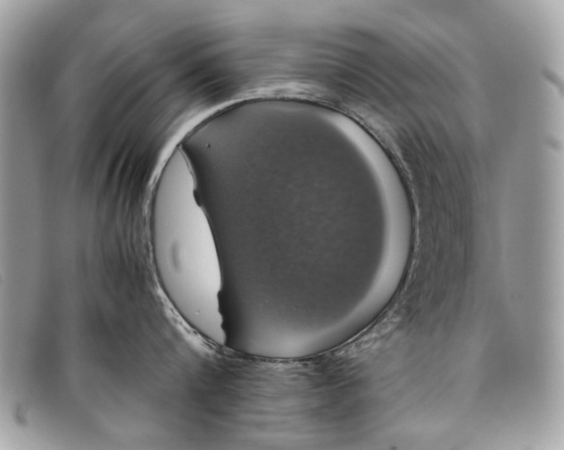 X0000098020816200804111256