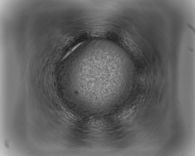 X0000098020817200804111255