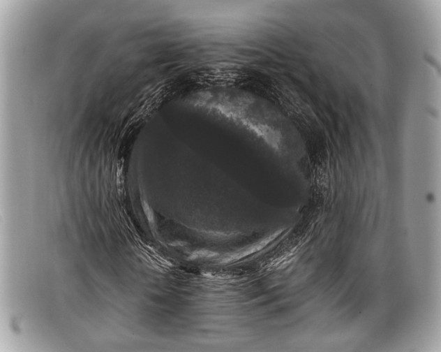 X0000098020818200804111255