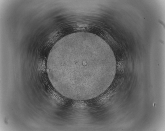 X0000098020820200804111255