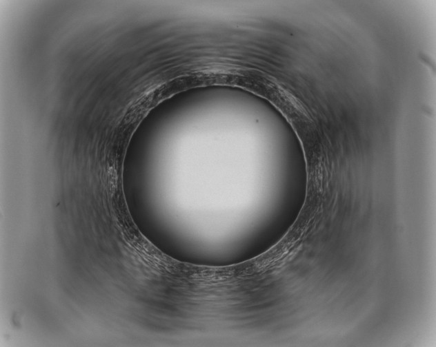 X0000098020821200804111255