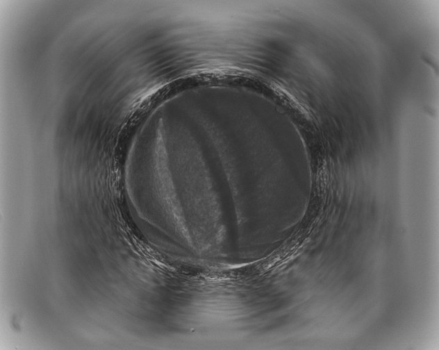 X0000098020822200804111255