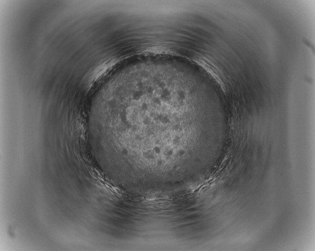 X0000098020823200804111255