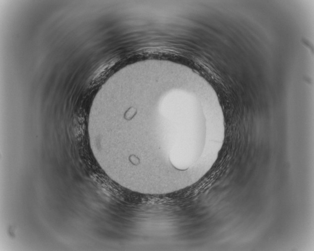 X0000098020824200804111255