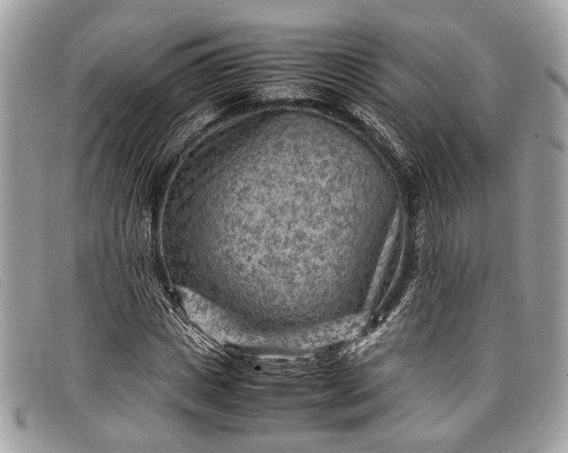 X0000098020825200804111255