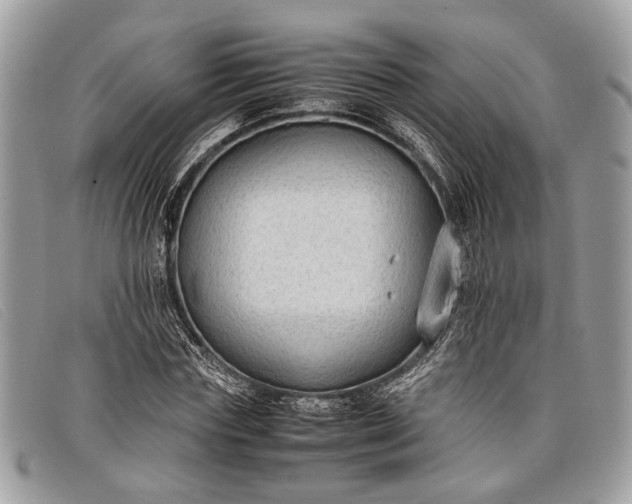 X0000098020827200804111255