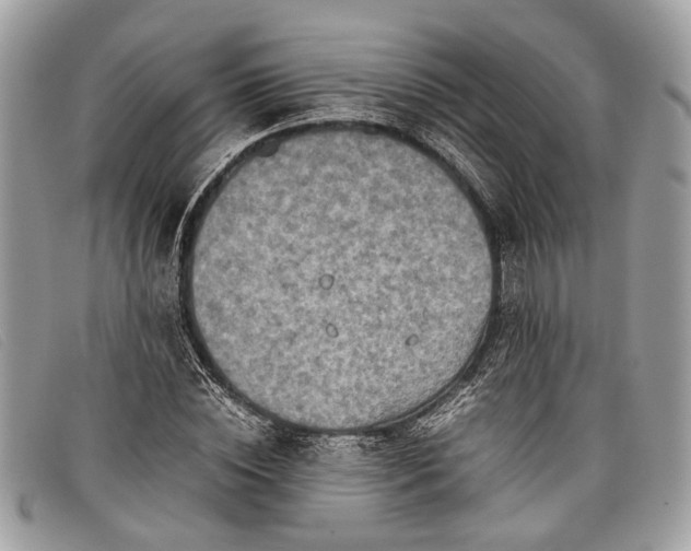 X0000098020828200804111255