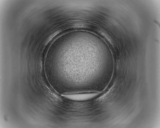 X0000098020829200804111256