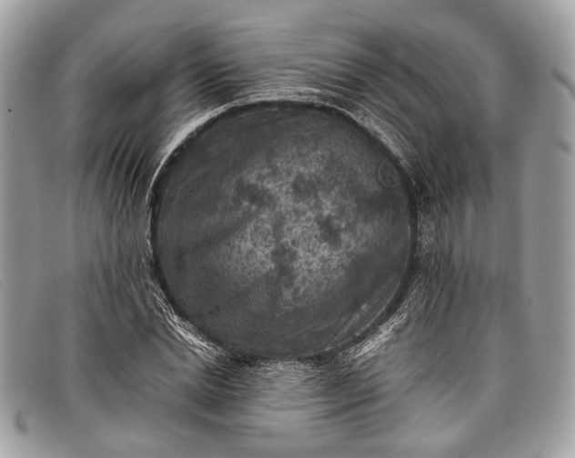 X0000098020830200804111256