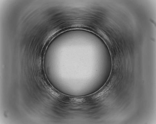 X0000098020831200804111256