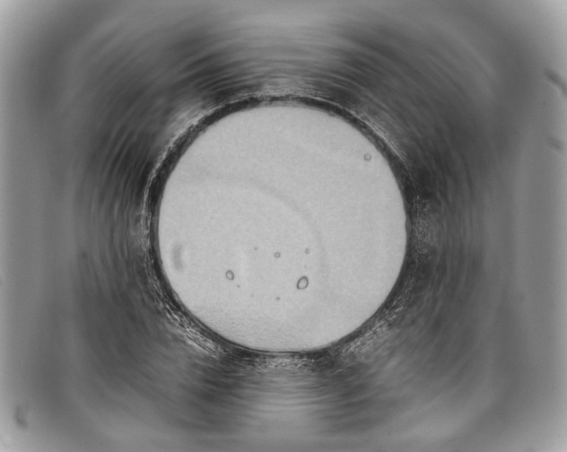 X0000098020832200804111256