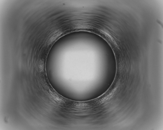 X0000098020833200804111256