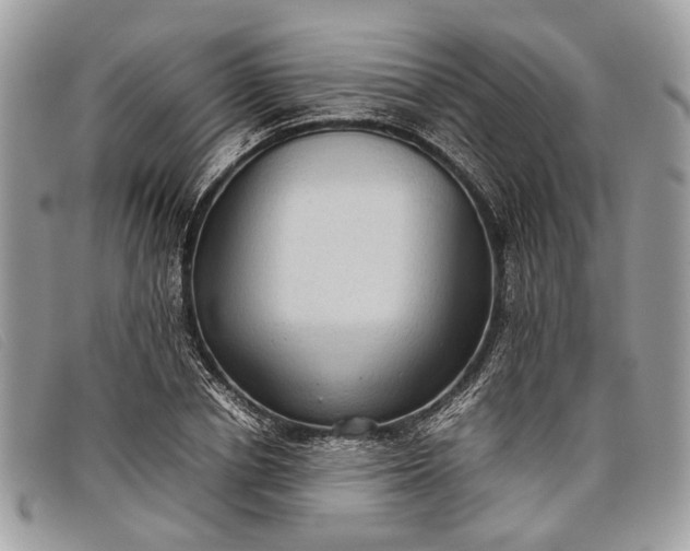 X0000098020834200804111256