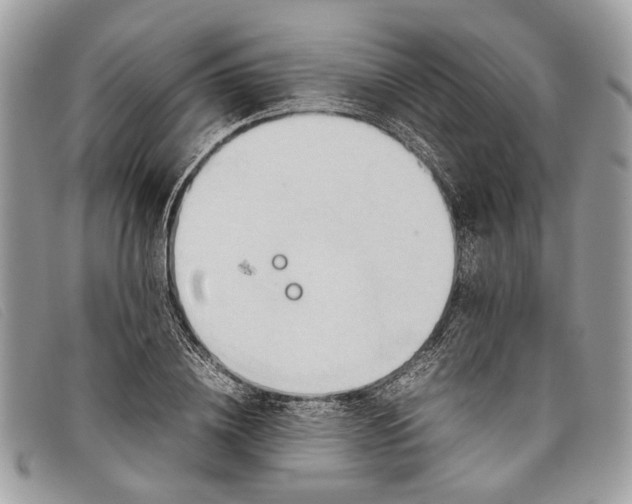 X0000098020836200804111256