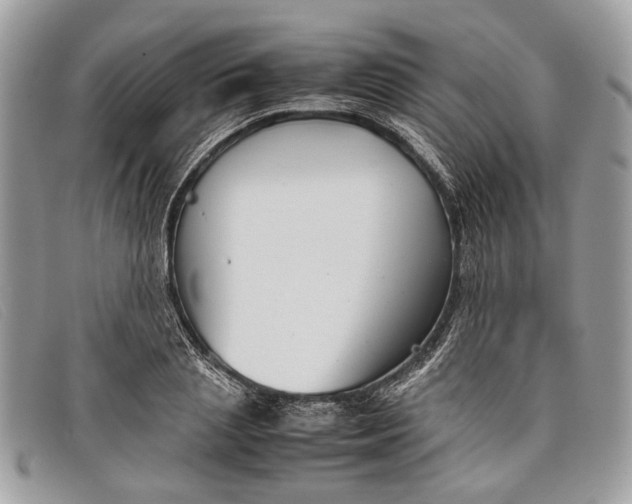 X0000098020837200804111256