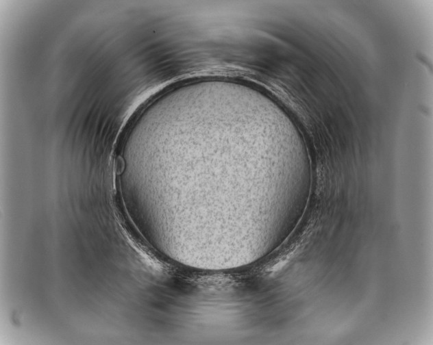 X0000098020838200804111256