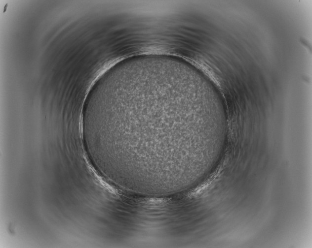 X0000098020839200804111256