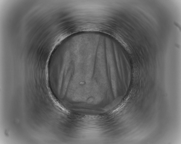 X0000098020840200804111256