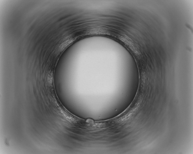 X0000098020841200804111256