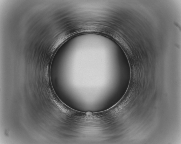 X0000098020842200804111256