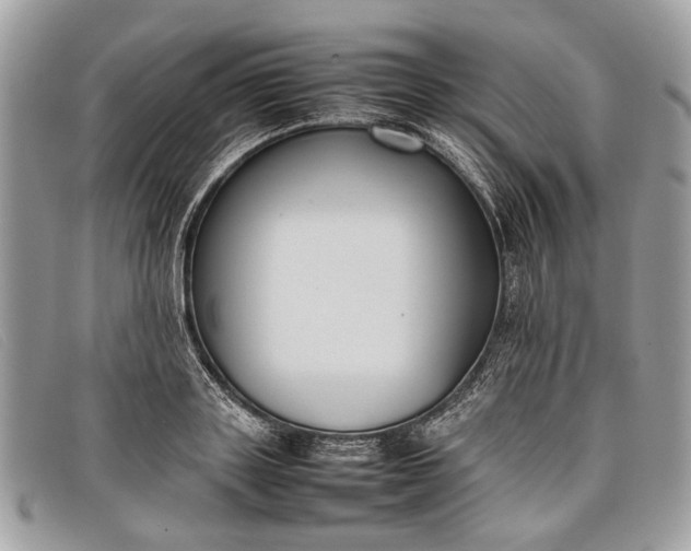 X0000098020843200804111256