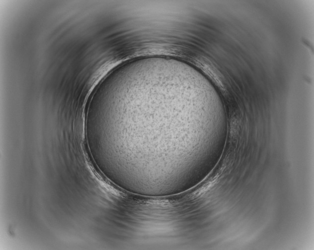 X0000098020844200804111256