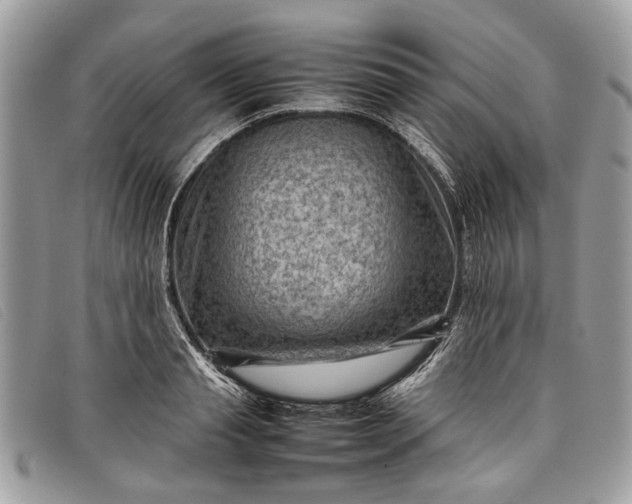 X0000098020845200804111256