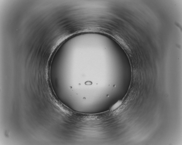 X0000098020846200804111256