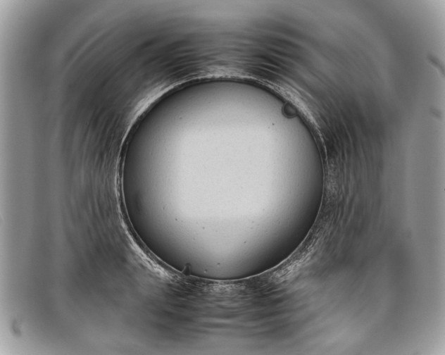 X0000098020847200804111256