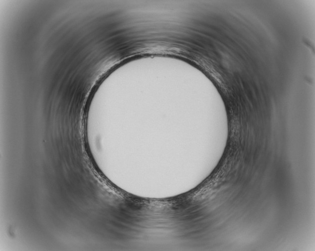 X0000098020848200804111256