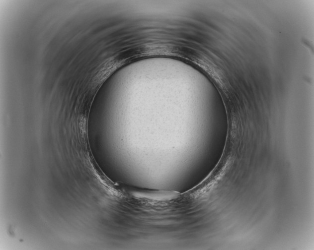 X0000098020849200804111256