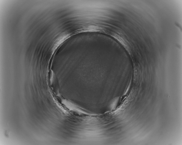 X0000098020850200804111256