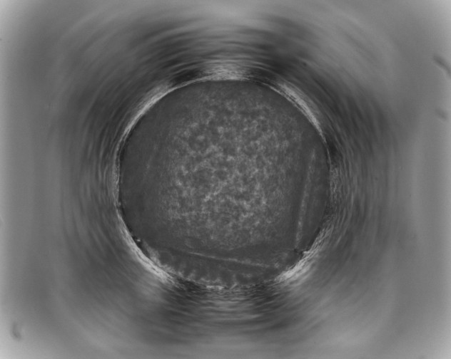 X0000098020851200804111256