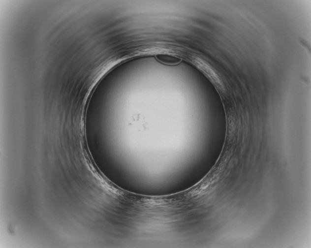 X0000098020852200804111256