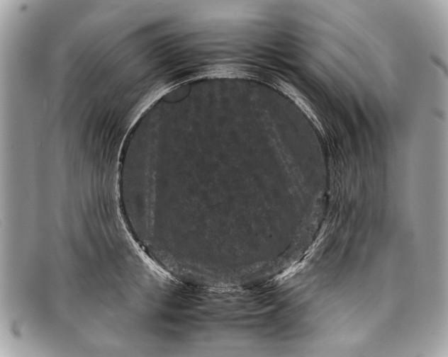 X0000098020853200804111256