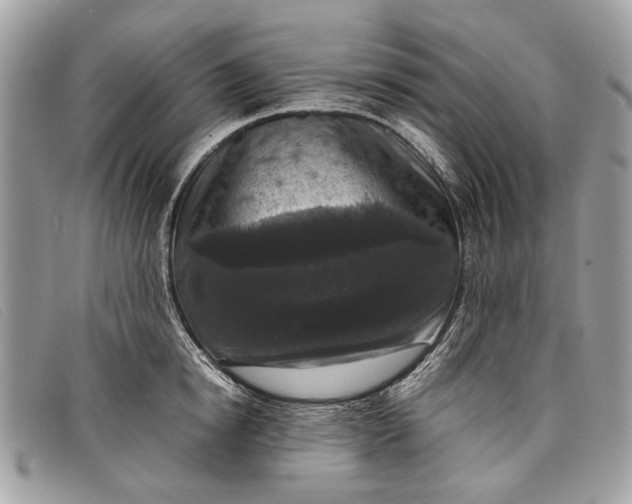 X0000098020854200804111256