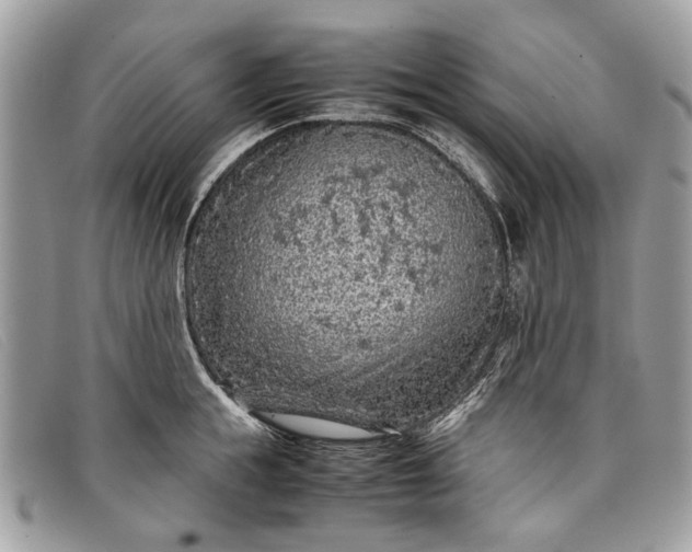 X0000098020855200804111256