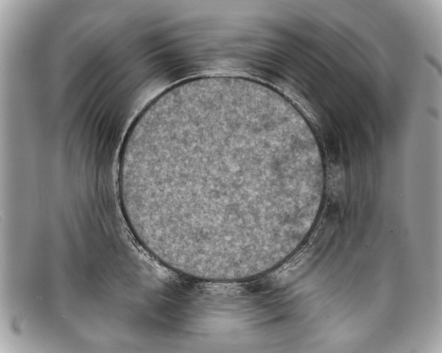 X0000098020856200804111256