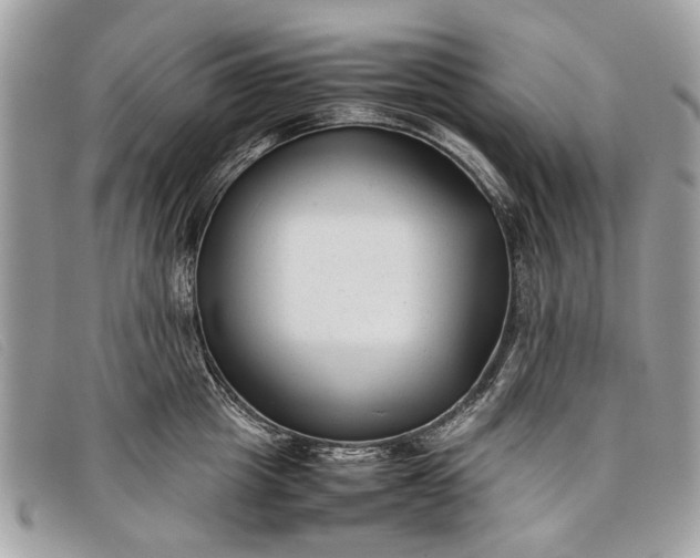 X0000098020857200804111256