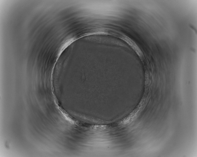 X0000098020858200804111256