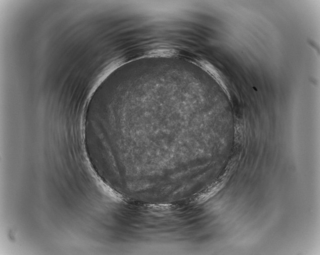 X0000098020859200804111256