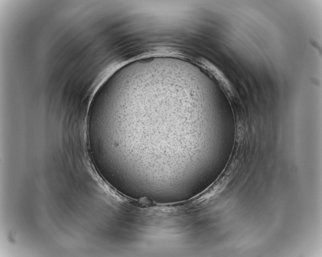 X0000098020860200804111256