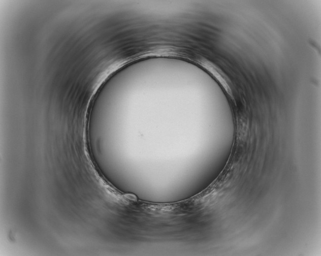 X0000098020861200804111256