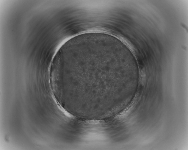 X0000098020862200804111256