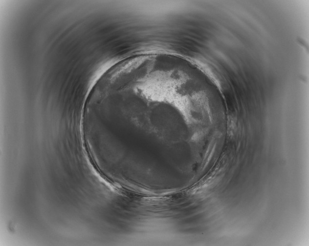 X0000098020863200804111256